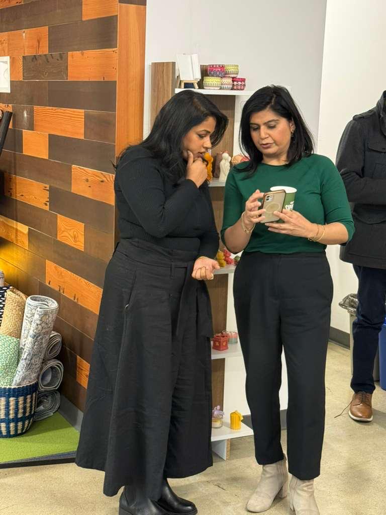 India Startup and Venture Story